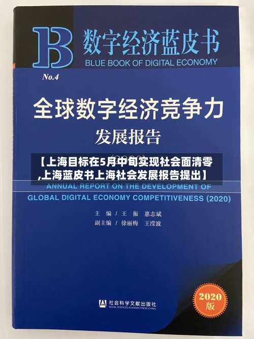 【上海目标在5月中旬实现社会面清零,上海蓝皮书上海社会发展报告提出】-第3张图片