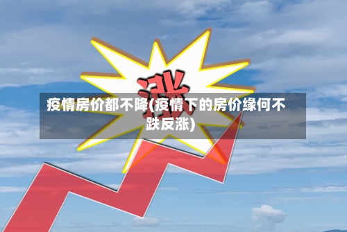 疫情房价都不降(疫情下的房价缘何不跌反涨)-第3张图片
