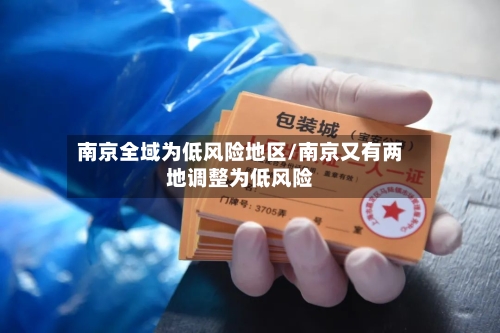 南京全域为低风险地区/南京又有两地调整为低风险-第3张图片