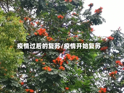 疫情过后的复苏/疫情开始复苏-第3张图片