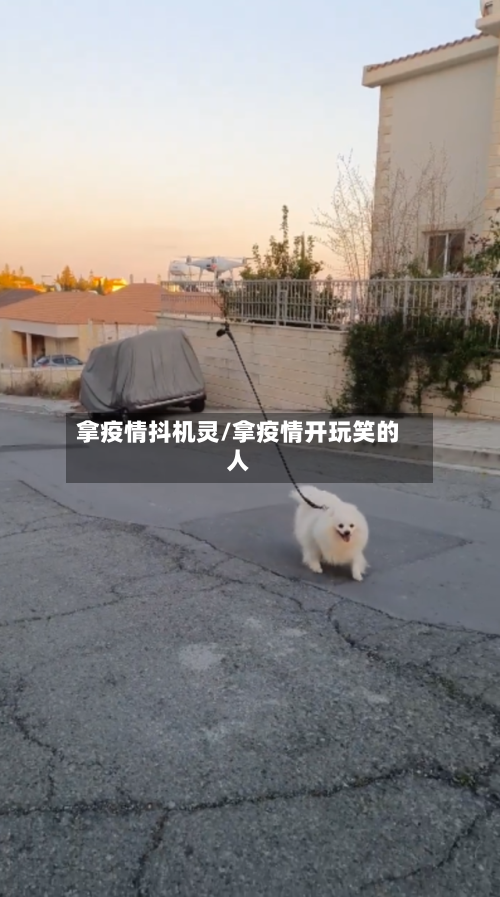 拿疫情抖机灵/拿疫情开玩笑的人-第2张图片