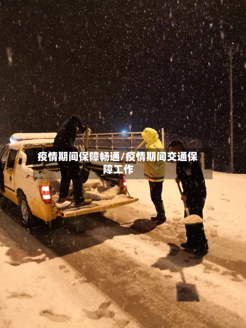 疫情期间保障畅通/疫情期间交通保障工作