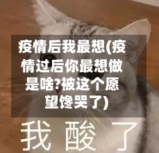 疫情后我最想(疫情过后你最想做是啥?被这个愿望馋哭了)