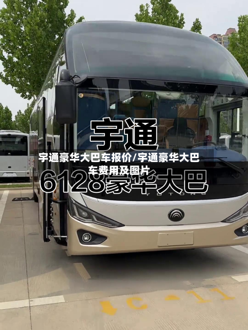 宇通豪华大巴车报价/宇通豪华大巴车费用及图片