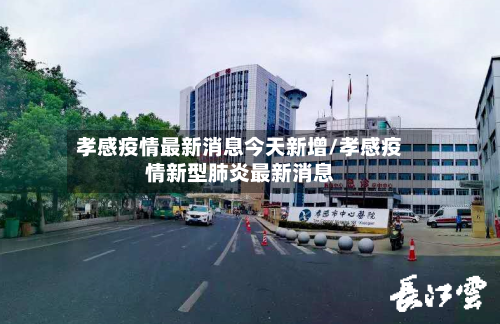 孝感疫情最新消息今天新增/孝感疫情新型肺炎最新消息-第2张图片