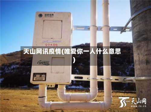 天山网讯疫情(唯爱你一人什么意思)-第2张图片