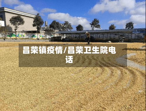 昌荣镇疫情/昌荣卫生院电话-第3张图片