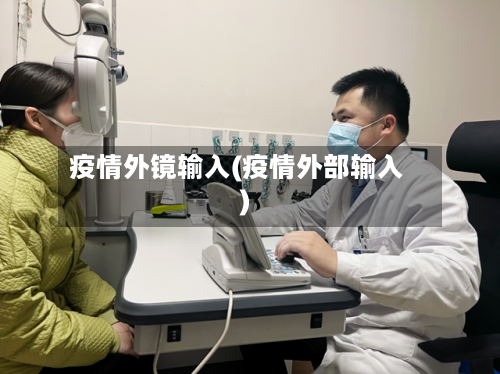 疫情外镜输入(疫情外部输入)