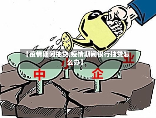 【疫情期间抽贷,疫情期间银行抽贷怎么办】-第3张图片