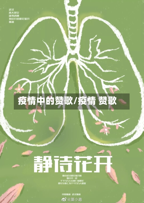 疫情中的赞歌/疫情 赞歌-第3张图片