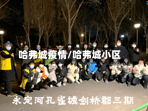 哈弗城疫情/哈弗城小区-第2张图片