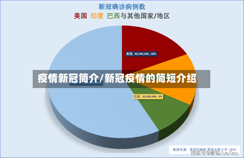 疫情新冠简介/新冠疫情的简短介绍-第3张图片