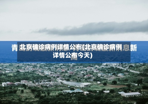 北京确诊病例详情公布(北京确诊病例详情公布今天)-第3张图片