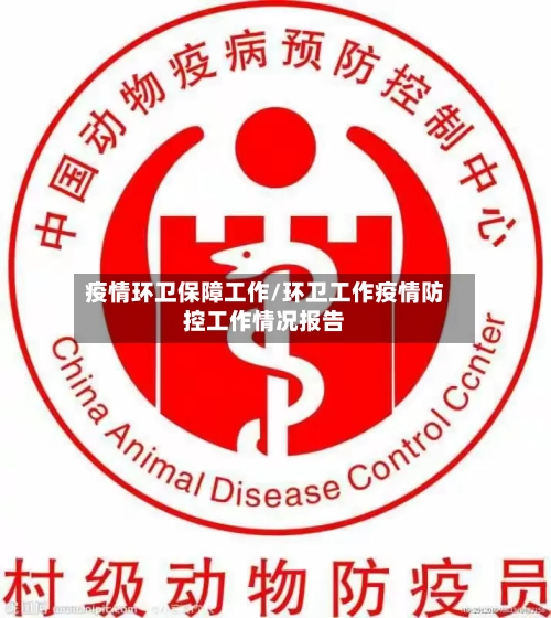 疫情环卫保障工作/环卫工作疫情防控工作情况报告-第2张图片
