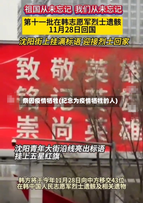 祭因疫情牺牲(纪念为疫情牺牲的人)