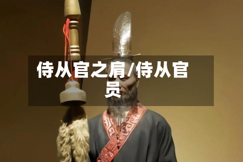 侍从官之肩/侍从官员-第2张图片