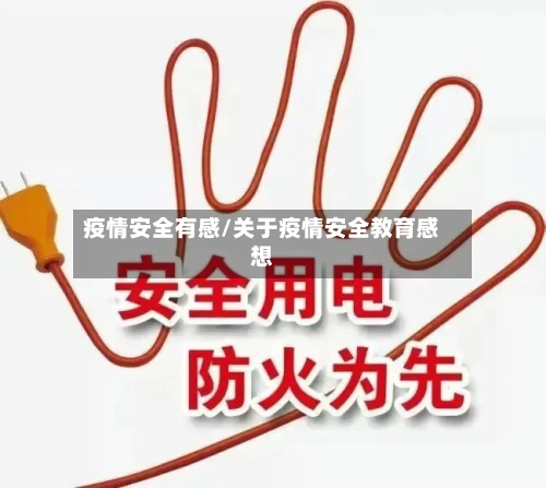 疫情安全有感/关于疫情安全教育感想