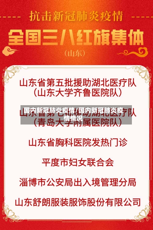 国内新冠肺炎疫情/国内新冠肺炎疫情情况-第2张图片