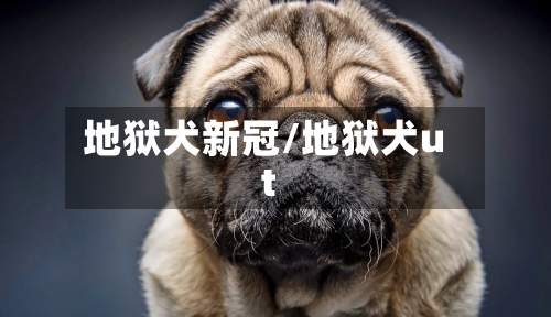 地狱犬新冠/地狱犬ut-第2张图片