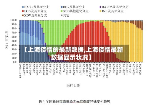 【上海疫情的最新数据,上海疫情最新数据显示状况】-第3张图片