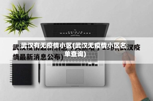 武汉有无疫情小区(武汉无疫情小区名单查询)-第2张图片