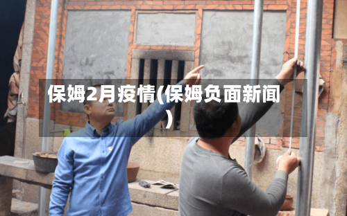 保姆2月疫情(保姆负面新闻)