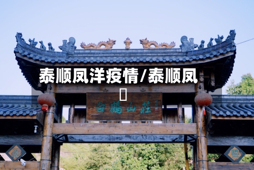 泰顺凤洋疫情/泰顺凤垟