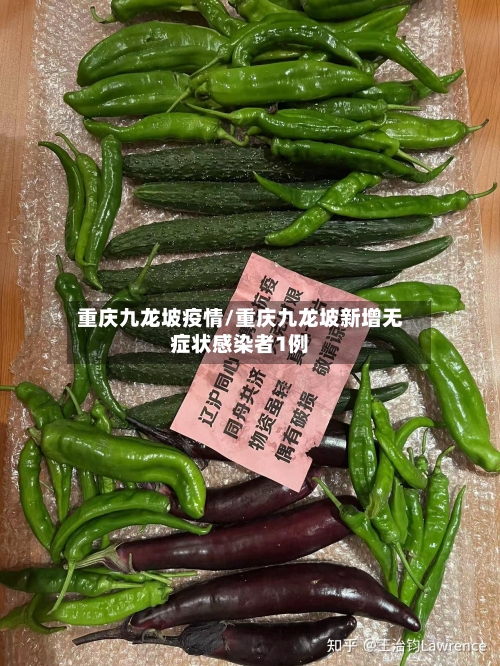 重庆九龙坡疫情/重庆九龙坡新增无症状感染者1例-第2张图片