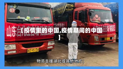 【疫情里的中国,疫情期间的中国】-第2张图片