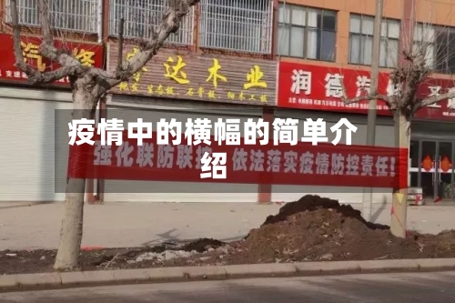 疫情中的横幅的简单介绍-第3张图片