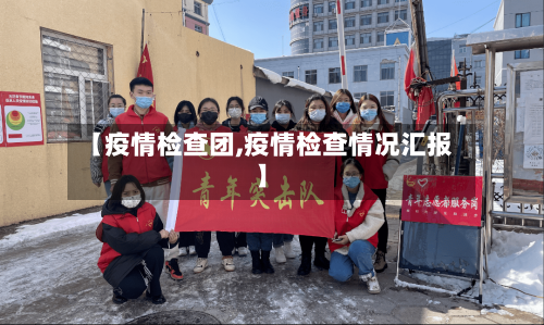 【疫情检查团,疫情检查情况汇报】