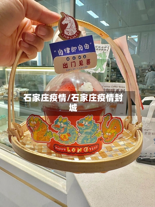 石家庄疫情/石家庄疫情封城-第2张图片