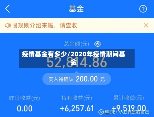 疫情基金有多少/2020年疫情期间基金