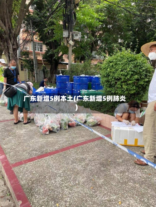 广东新增5例本土(广东新增5例肺炎)