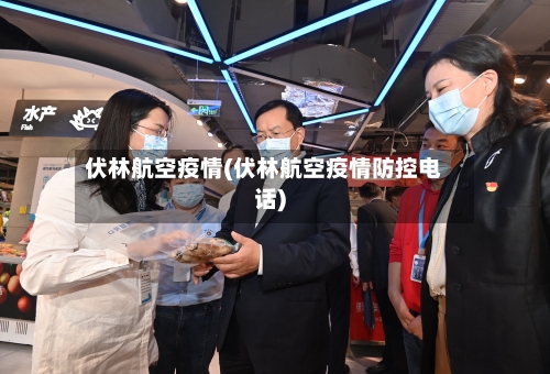 伏林航空疫情(伏林航空疫情防控电话)