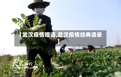 【武汉疫情赠语,武汉疫情经典语录】