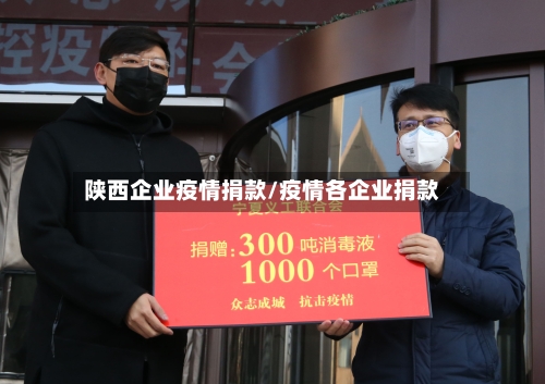 陕西企业疫情捐款/疫情各企业捐款-第3张图片