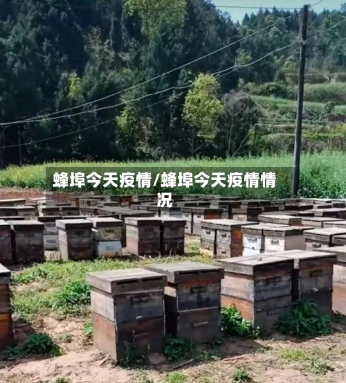 蜂埠今天疫情/蜂埠今天疫情情况-第1张图片