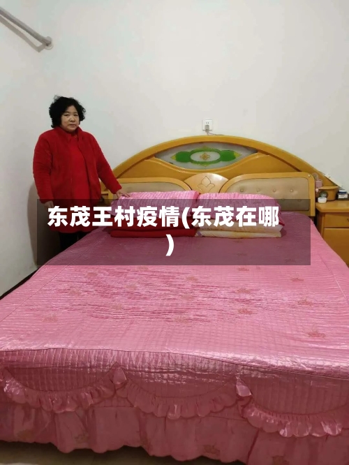 东茂王村疫情(东茂在哪)-第2张图片
