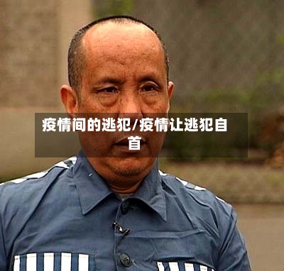 疫情间的逃犯/疫情让逃犯自首