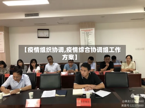 【疫情组织协调,疫情综合协调组工作方案】