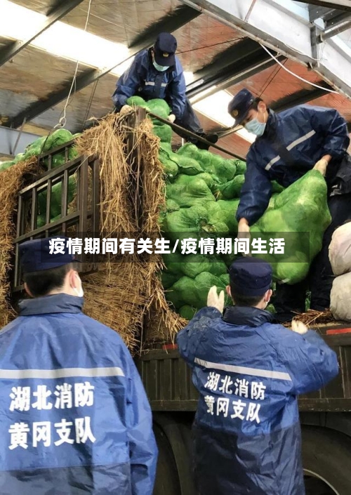 疫情期间有关生/疫情期间生活-第3张图片