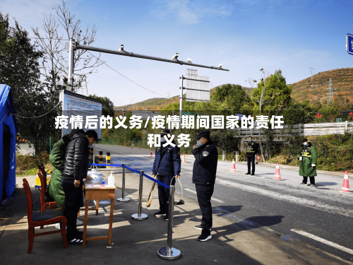 疫情后的义务/疫情期间国家的责任和义务