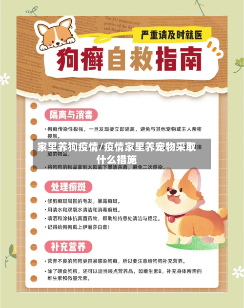 家里养狗疫情/疫情家里养宠物采取什么措施-第2张图片