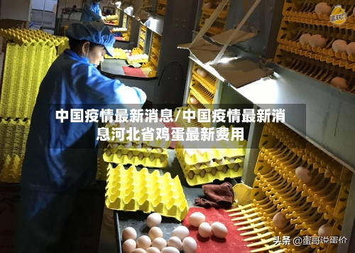 中国疫情最新消息/中国疫情最新消息河北省鸡蛋最新费用-第2张图片