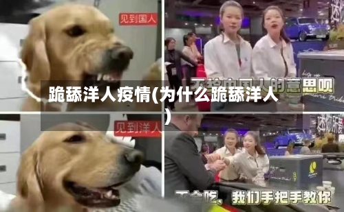 跪舔洋人疫情(为什么跪舔洋人)-第3张图片