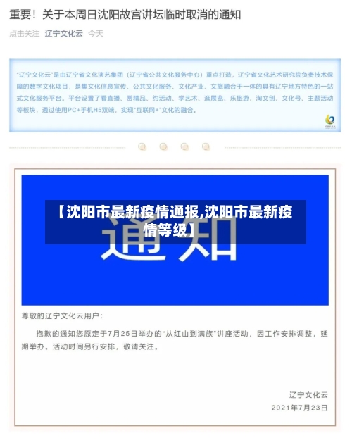 【沈阳市最新疫情通报,沈阳市最新疫情等级】-第3张图片