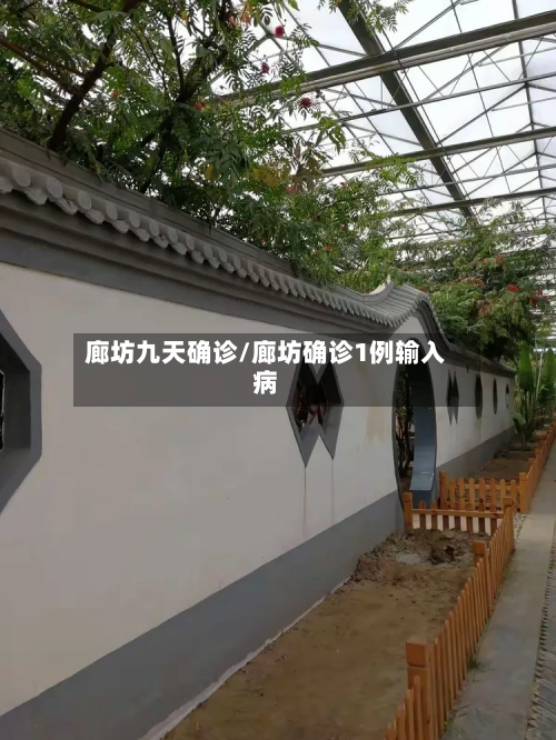 廊坊九天确诊/廊坊确诊1例输入病-第3张图片