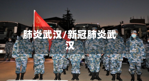 肺炎武汉/新冠肺炎武汉