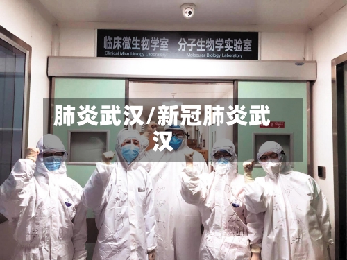 肺炎武汉/新冠肺炎武汉-第2张图片